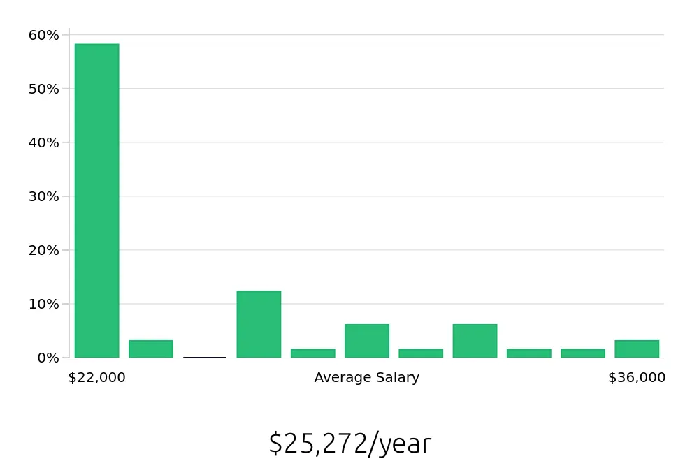 Graph depicting the yearly salary distribution for Security Guard jobs in Wilson, NC, showing an average salary of $25,272 with varying distribution percentages across salary ranges.