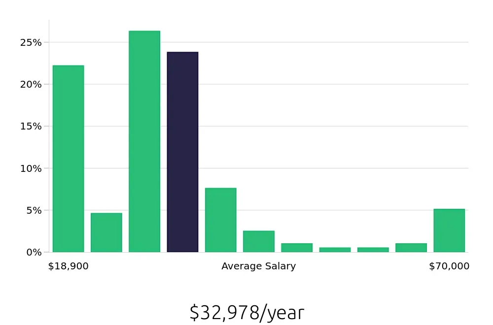Graph depicting the yearly salary distribution for Server jobs in Albany, NY, showing an average salary of $32,978 with varying distribution percentages across salary ranges.