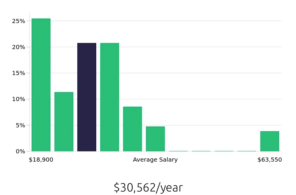 Graph depicting the yearly salary distribution for Server jobs in Amherst, NY, showing an average salary of $30,562 with varying distribution percentages across salary ranges.