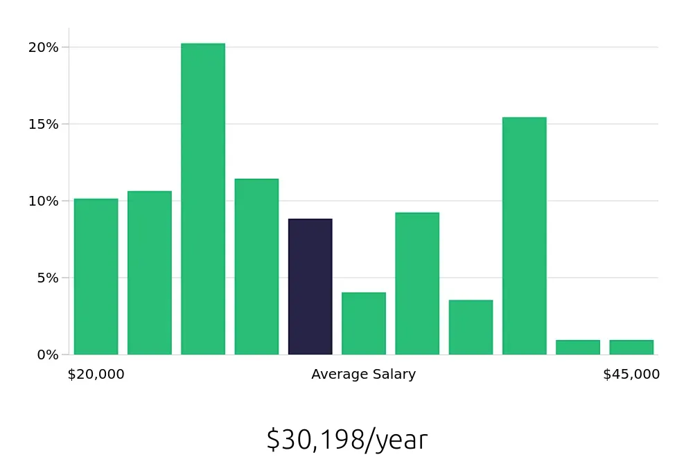 Graph depicting the yearly salary distribution for Server jobs in Anderson, SC, showing an average salary of $30,198 with varying distribution percentages across salary ranges.