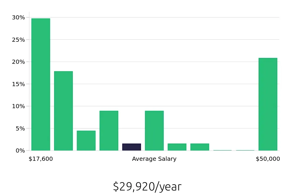 Graph depicting the yearly salary distribution for Server jobs in Auburn, NY, showing an average salary of $29,920 with varying distribution percentages across salary ranges.