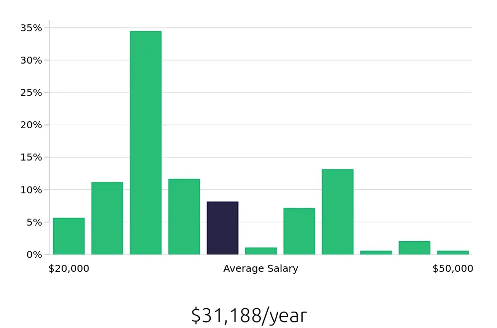 Graph depicting the yearly salary distribution for Server jobs in Boone, NC, showing an average salary of $31,188 with varying distribution percentages across salary ranges.