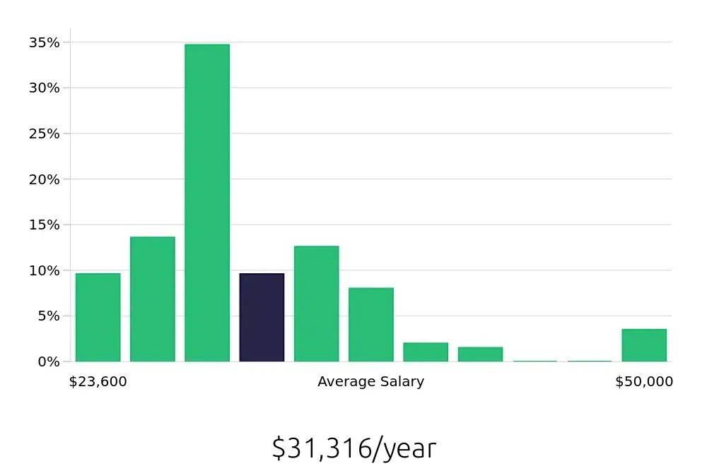 Graph depicting the yearly salary distribution for Server jobs in Burnsville, MN, showing an average salary of $31,316 with varying distribution percentages across salary ranges.