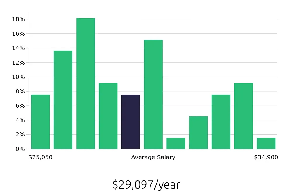 Graph depicting the yearly salary distribution for Server jobs in Decatur, TX, showing an average salary of $29,097 with varying distribution percentages across salary ranges.