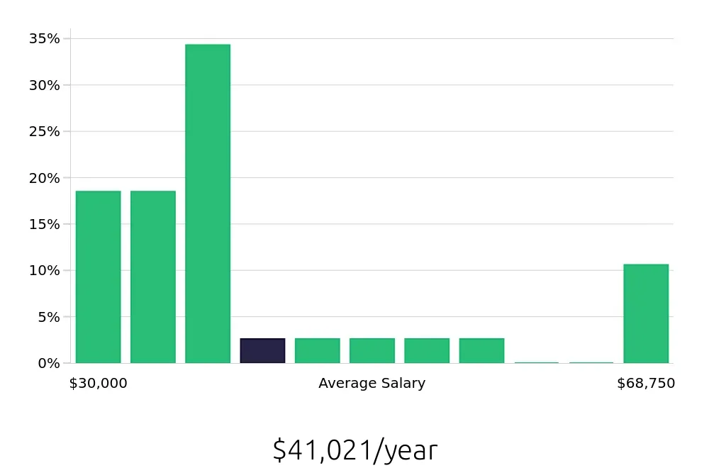 Graph depicting the yearly salary distribution for Server jobs in Dorchester, MA, showing an average salary of $41,021 with varying distribution percentages across salary ranges.