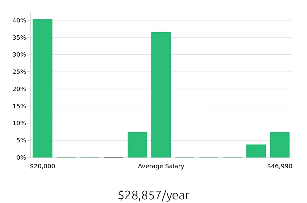 Graph depicting the yearly salary distribution for Server jobs in Farmingdale, NY, showing an average salary of $28,857 with varying distribution percentages across salary ranges.