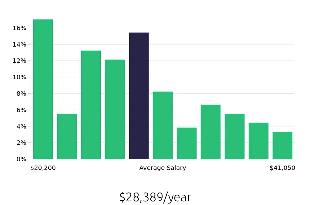 Graph depicting the yearly salary distribution for Server jobs in Hamilton, OH, showing an average salary of $28,389 with varying distribution percentages across salary ranges.