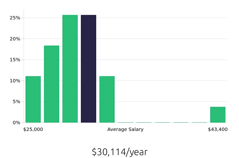 Graph depicting the yearly salary distribution for Server jobs in Hastings, NE, showing an average salary of $30,114 with varying distribution percentages across salary ranges.