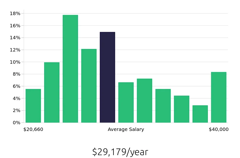 Graph depicting the yearly salary distribution for Server jobs in Jackson, MI, showing an average salary of $29,179 with varying distribution percentages across salary ranges.
