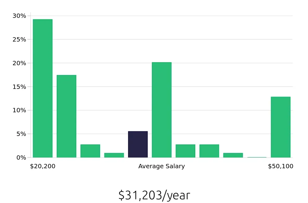 Graph depicting the yearly salary distribution for Server jobs in Lakewood, OH, showing an average salary of $31,203 with varying distribution percentages across salary ranges.