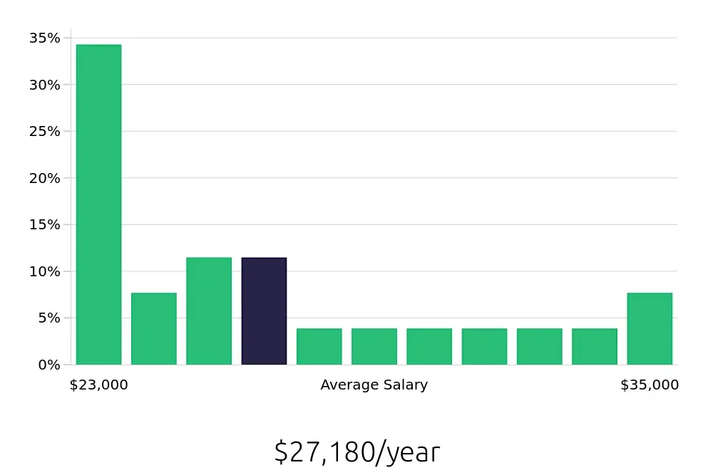 Graph depicting the yearly salary distribution for Server jobs in Land O' Lakes, FL, showing an average salary of $27,180 with varying distribution percentages across salary ranges.