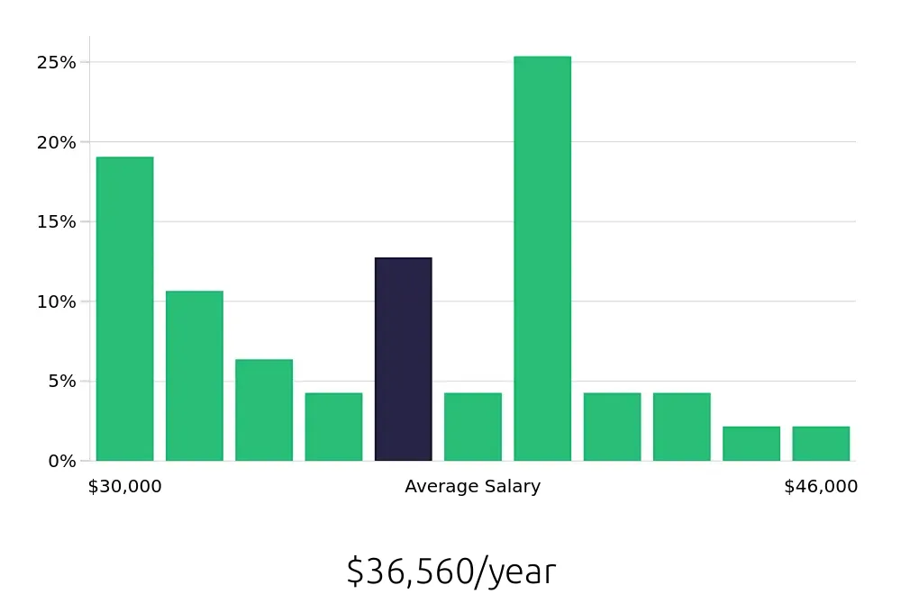 Graph depicting the yearly salary distribution for Server jobs in Long Island City, NY, showing an average salary of $36,560 with varying distribution percentages across salary ranges.