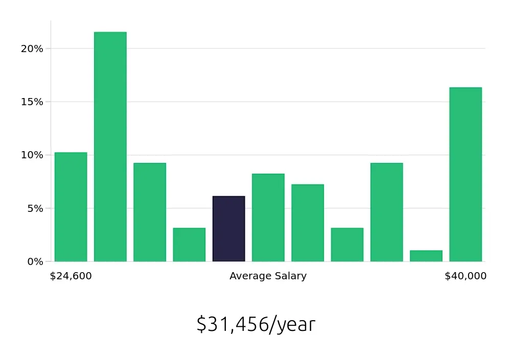 Graph depicting the yearly salary distribution for Server jobs in Pinellas Park, FL, showing an average salary of $31,456 with varying distribution percentages across salary ranges.