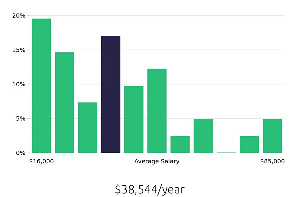Graph depicting the yearly salary distribution for Server jobs in Punta Gorda, FL, showing an average salary of $38,544 with varying distribution percentages across salary ranges.