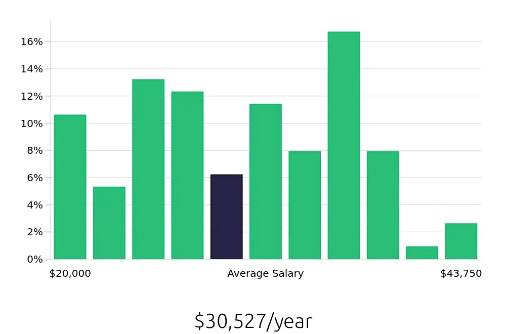 Graph depicting the yearly salary distribution for Server jobs in Reading, PA, showing an average salary of $30,527 with varying distribution percentages across salary ranges.