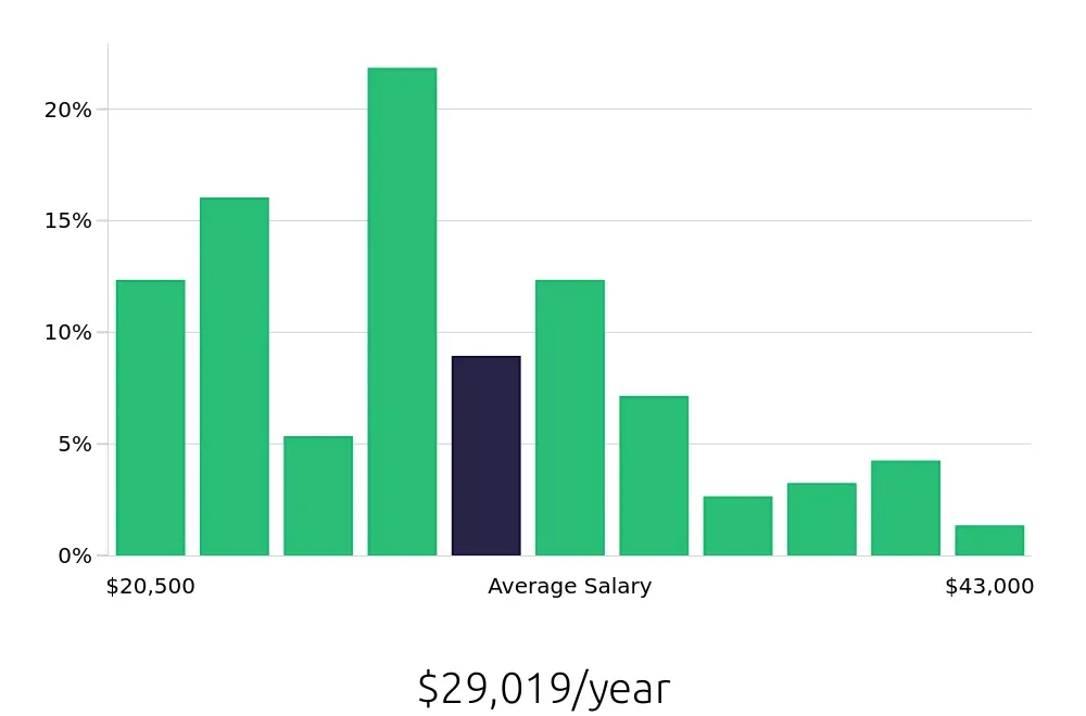 Graph depicting the yearly salary distribution for Server jobs in Reno, NV, showing an average salary of $29,019 with varying distribution percentages across salary ranges.