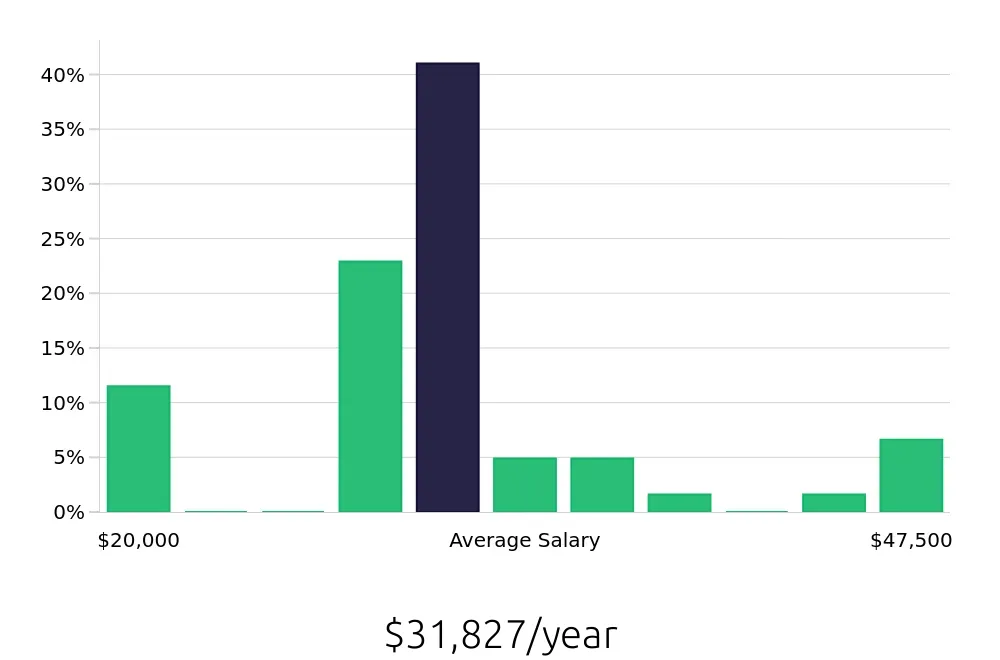 Graph depicting the yearly salary distribution for Server jobs in Riverhead, NY, showing an average salary of $31,827 with varying distribution percentages across salary ranges.