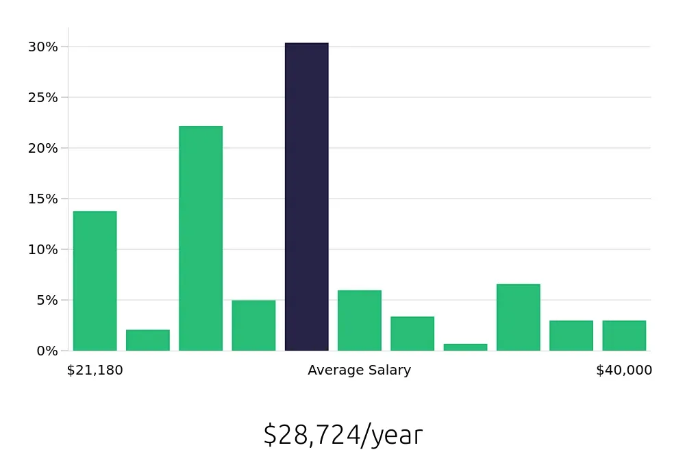Graph depicting the yearly salary distribution for Server jobs in Rochester, MN, showing an average salary of $28,724 with varying distribution percentages across salary ranges.