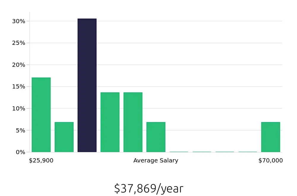 Graph depicting the yearly salary distribution for Server jobs in Rochester, NH, showing an average salary of $37,869 with varying distribution percentages across salary ranges.