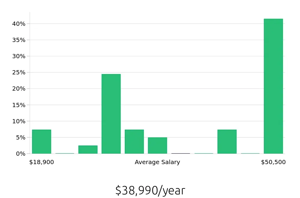 Graph depicting the yearly salary distribution for Server jobs in Rome, NY, showing an average salary of $38,990 with varying distribution percentages across salary ranges.