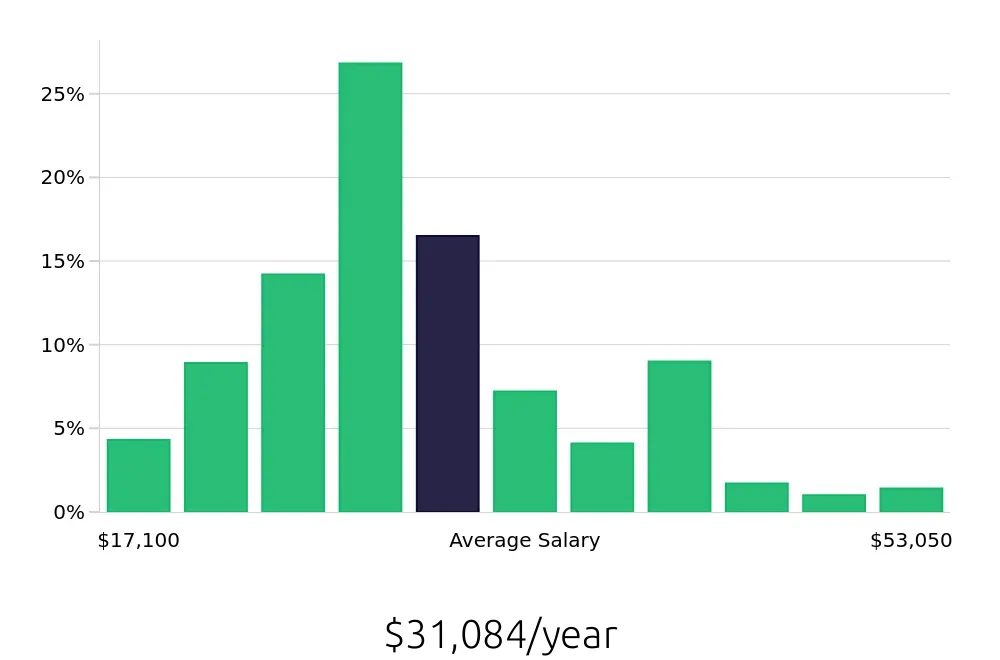 Graph depicting the yearly salary distribution for Server jobs in Saint Petersburg, FL, showing an average salary of $31,084 with varying distribution percentages across salary ranges.