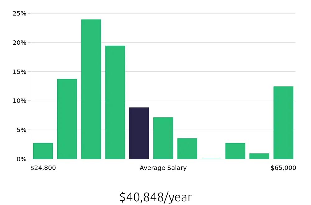Graph depicting the yearly salary distribution for Server jobs in Salem, NH, showing an average salary of $40,848 with varying distribution percentages across salary ranges.