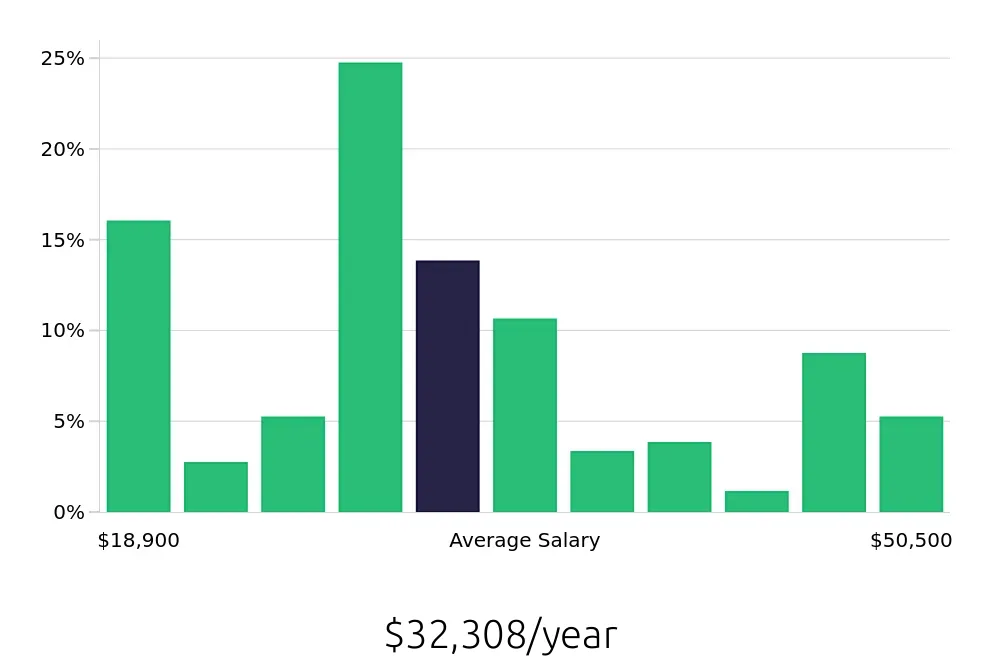 Graph depicting the yearly salary distribution for Server jobs in Syracuse, NY, showing an average salary of $32,308 with varying distribution percentages across salary ranges.