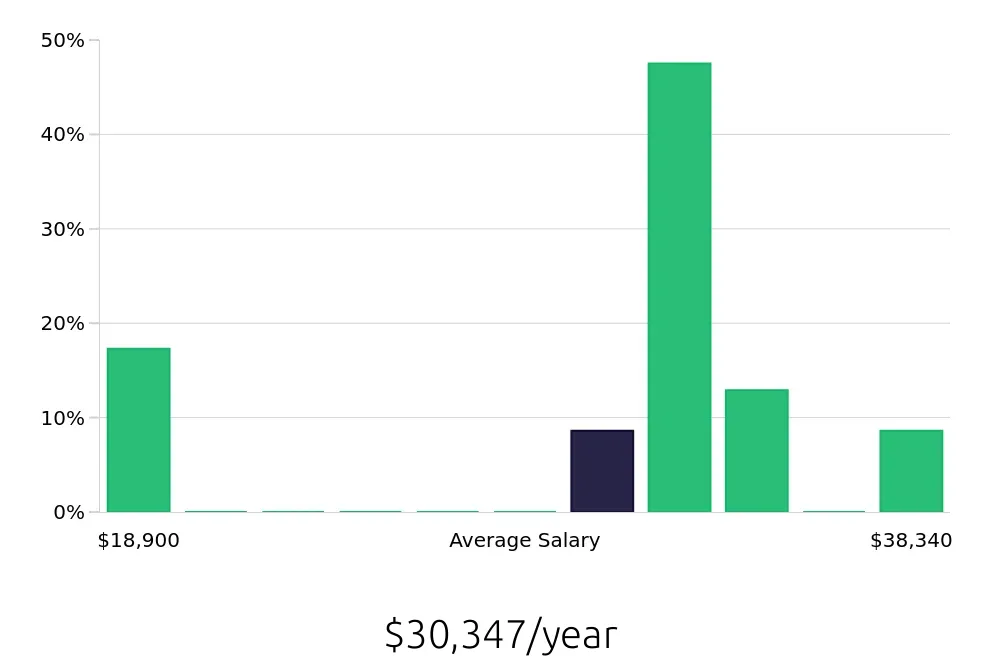 Graph depicting the yearly salary distribution for Server jobs in Tonawanda, NY, showing an average salary of $30,347 with varying distribution percentages across salary ranges.