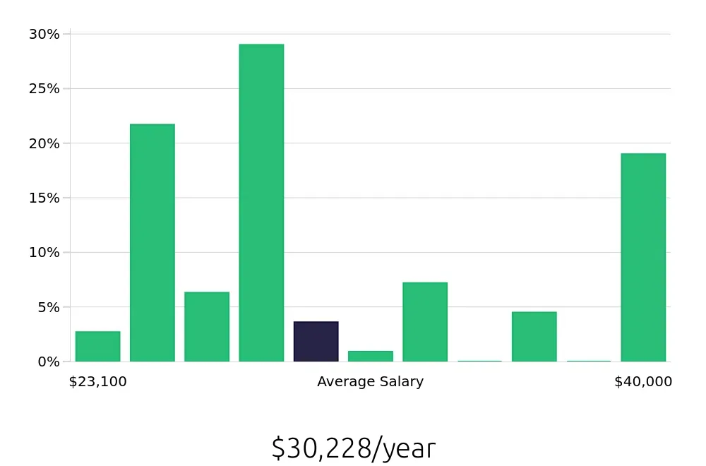 Graph depicting the yearly salary distribution for Server jobs in Wytheville, VA, showing an average salary of $30,228 with varying distribution percentages across salary ranges.