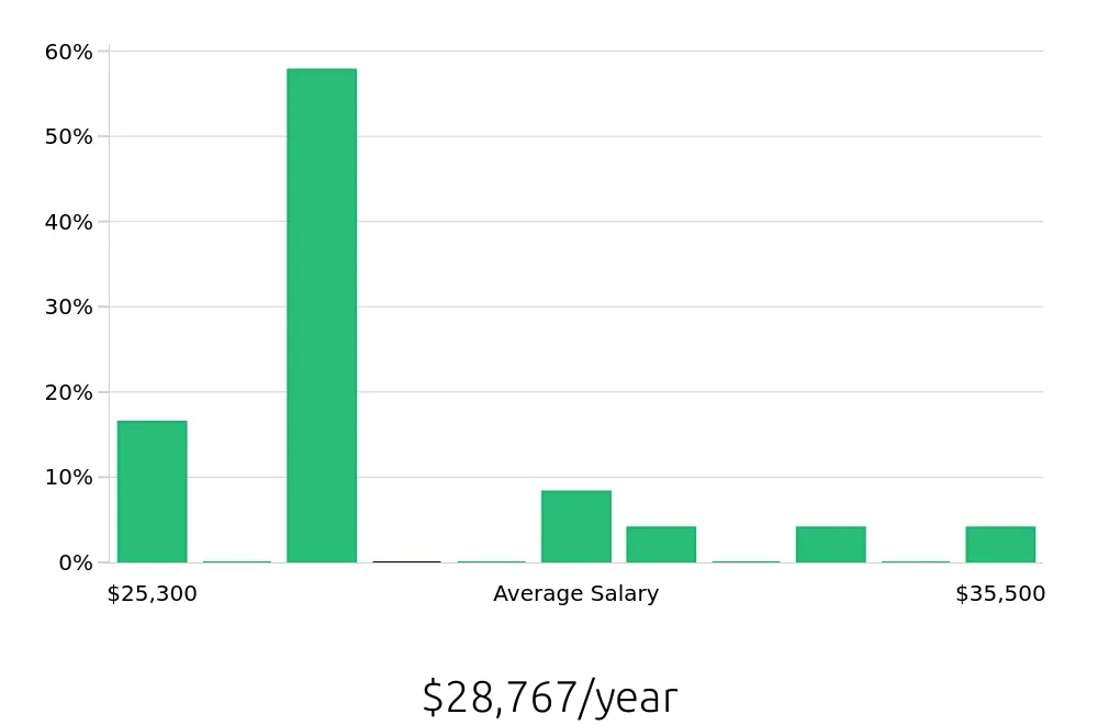 Graph depicting the yearly salary distribution for Service Team Member jobs in Boone, NC, showing an average salary of $28,767 with varying distribution percentages across salary ranges.