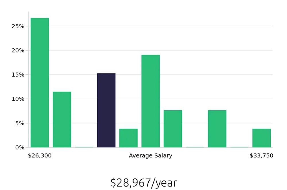 Graph depicting the yearly salary distribution for Stocker jobs in Alcoa, TN, showing an average salary of $28,967 with varying distribution percentages across salary ranges.