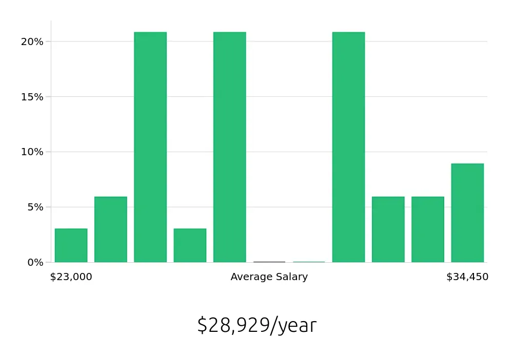 Graph depicting the yearly salary distribution for Stocker jobs in Bowling Green, KY, showing an average salary of $28,929 with varying distribution percentages across salary ranges.