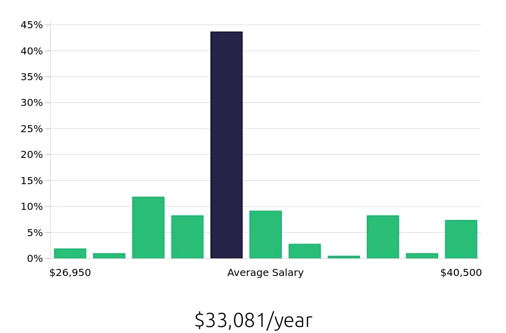 Graph depicting the yearly salary distribution for Stocker jobs in Brooklyn, NY, showing an average salary of $33,081 with varying distribution percentages across salary ranges.
