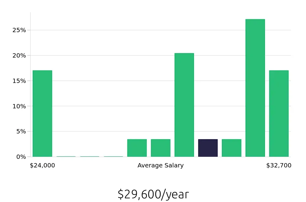 Graph depicting the yearly salary distribution for Stocker jobs in Holly Springs, NC, showing an average salary of $29,600 with varying distribution percentages across salary ranges.