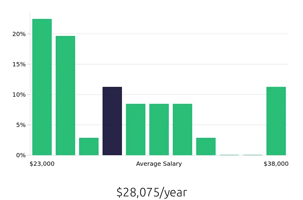 Graph depicting the yearly salary distribution for Stocker jobs in Irving, TX, showing an average salary of $28,075 with varying distribution percentages across salary ranges.