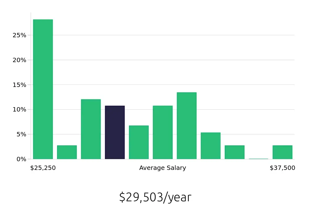 Graph depicting the yearly salary distribution for Stocker jobs in Knoxville, TN, showing an average salary of $29,503 with varying distribution percentages across salary ranges.