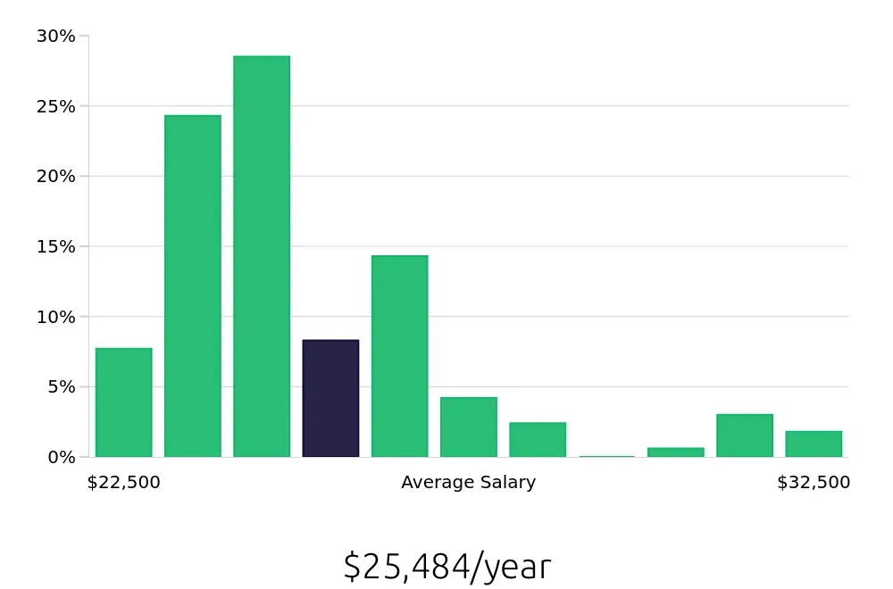 Graph depicting the yearly salary distribution for Stocker jobs in Lewisville, TX, showing an average salary of $25,484 with varying distribution percentages across salary ranges.