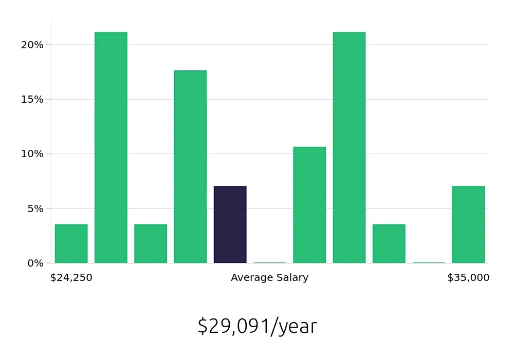 Graph depicting the yearly salary distribution for Stocker jobs in Muskegon, MI, showing an average salary of $29,091 with varying distribution percentages across salary ranges.