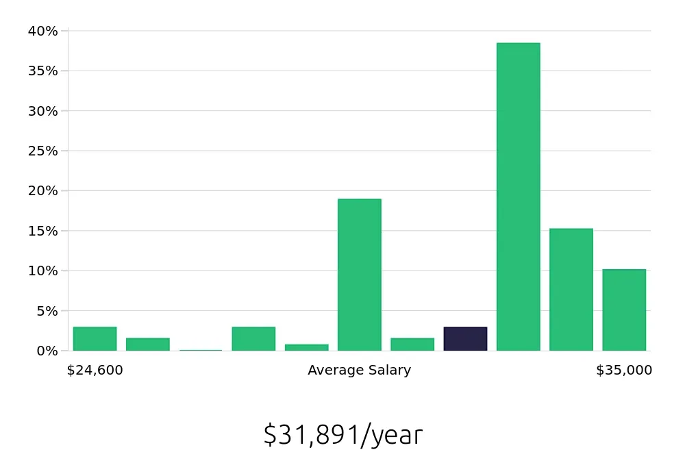 Graph depicting the yearly salary distribution for Stocker jobs in Saint Paul, MN, showing an average salary of $31,891 with varying distribution percentages across salary ranges.