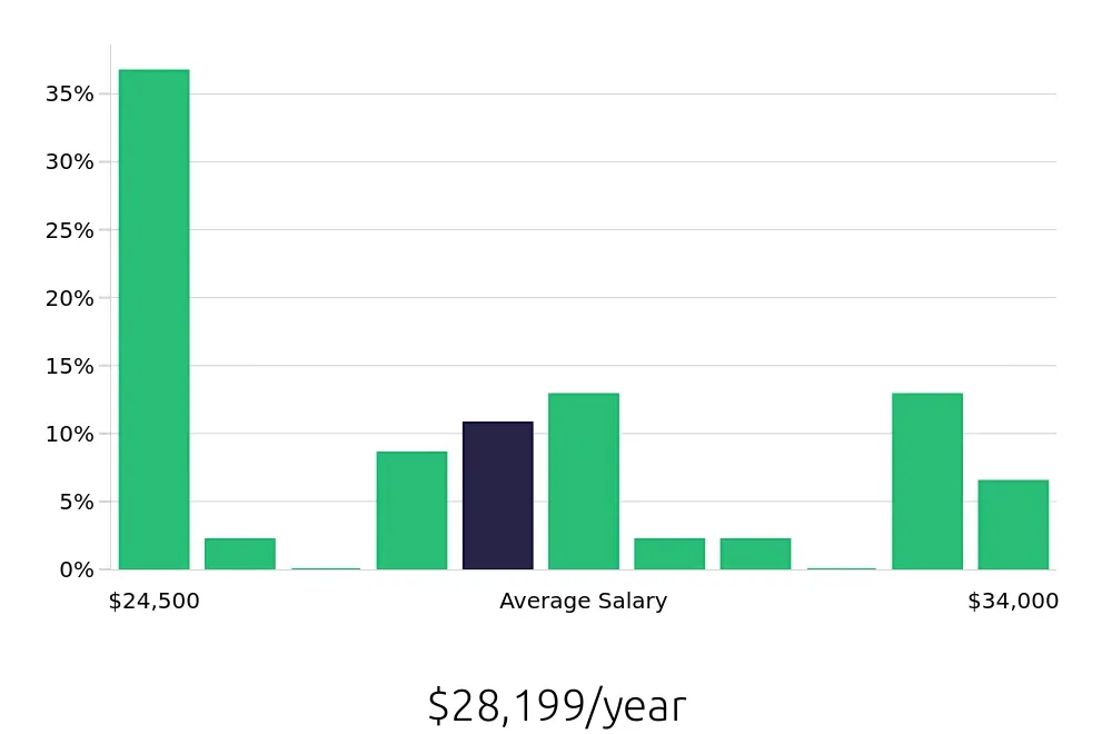 Graph depicting the yearly salary distribution for Store Associate jobs in Boone, NC, showing an average salary of $28,199 with varying distribution percentages across salary ranges.