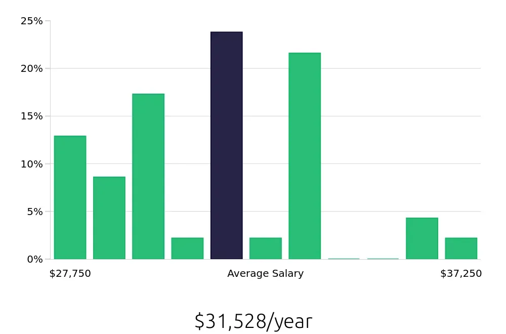 Graph depicting the yearly salary distribution for Store Associate jobs in Goose Creek, SC, showing an average salary of $31,528 with varying distribution percentages across salary ranges.
