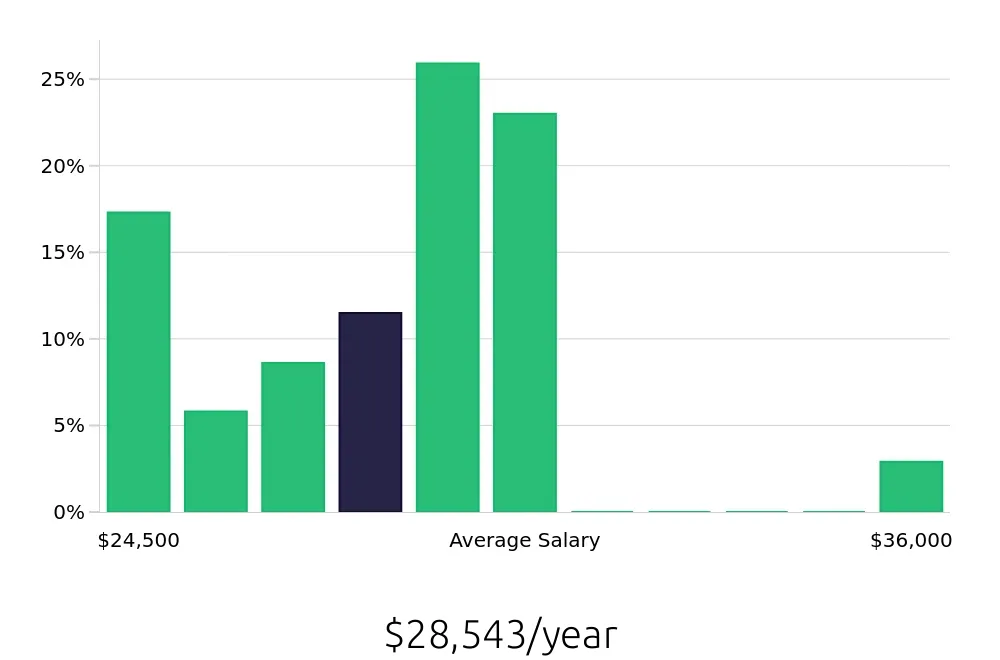 Graph depicting the yearly salary distribution for Store Associate jobs in Kearney, NE, showing an average salary of $28,543 with varying distribution percentages across salary ranges.