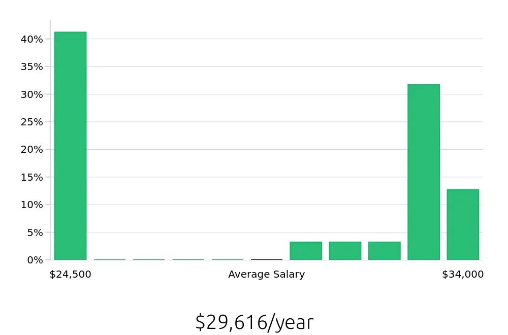 Graph depicting the yearly salary distribution for Store Associate jobs in Media, PA, showing an average salary of $29,616 with varying distribution percentages across salary ranges.
