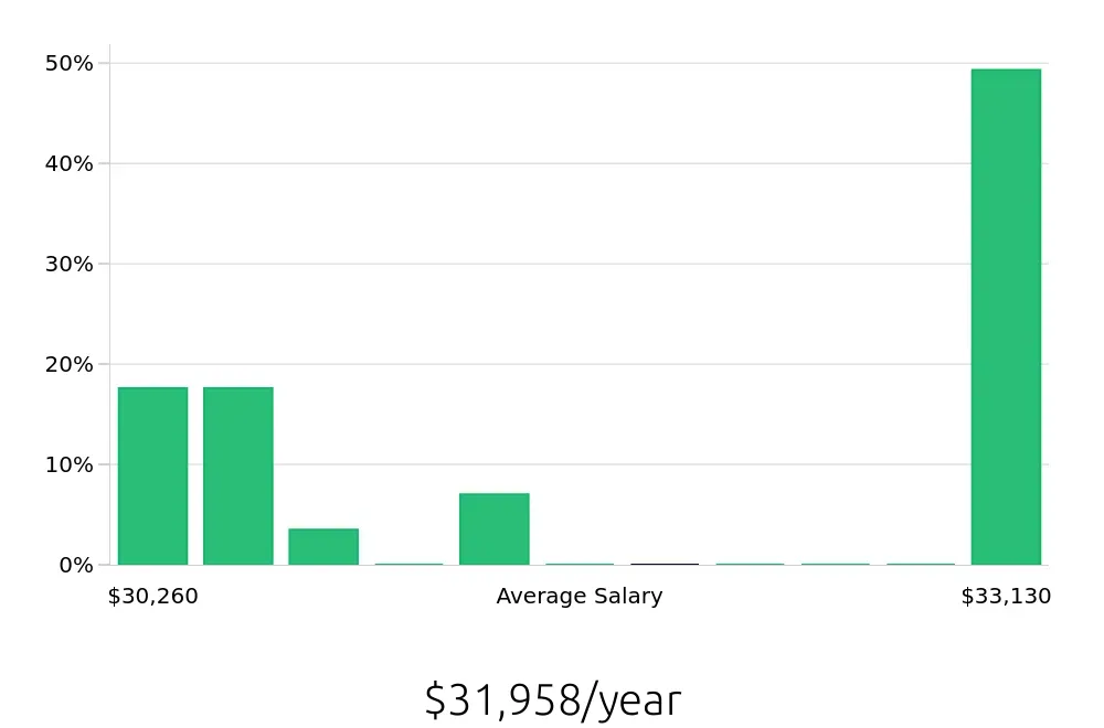 Graph depicting the yearly salary distribution for Store Associate jobs in Paterson, NJ, showing an average salary of $31,958 with varying distribution percentages across salary ranges.