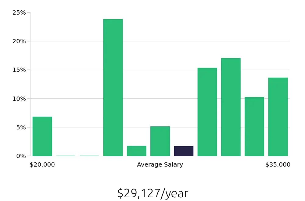 Graph depicting the yearly salary distribution for Store Associate jobs in Rome, GA, showing an average salary of $29,127 with varying distribution percentages across salary ranges.