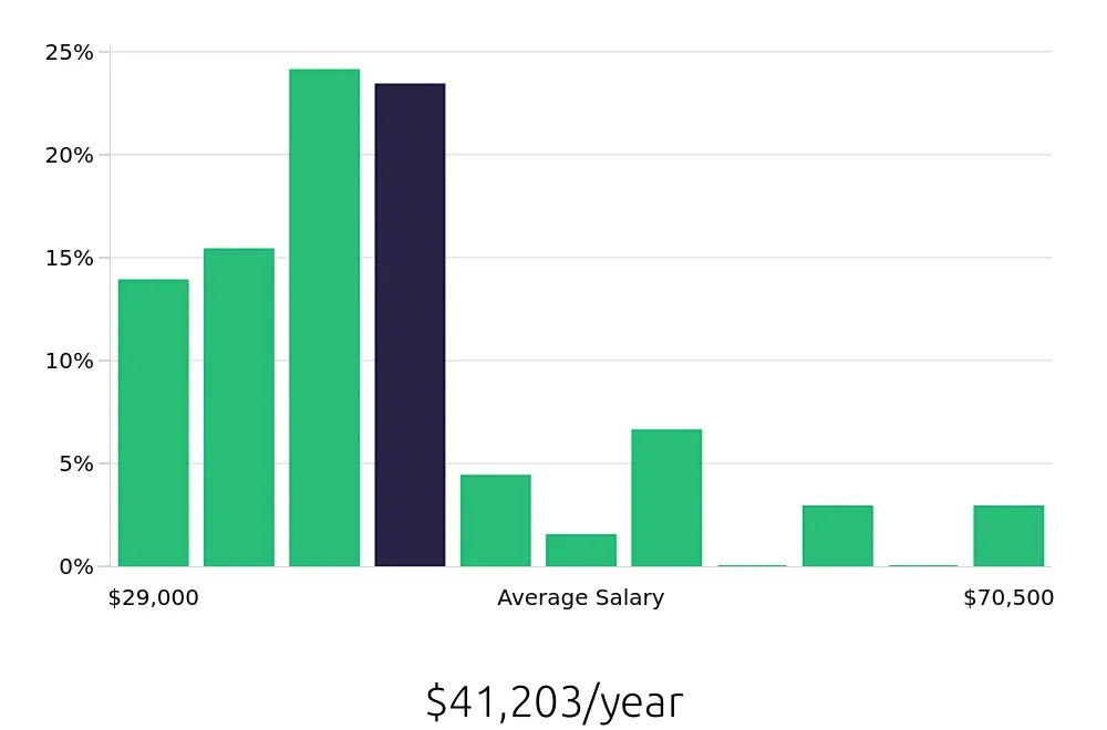 Graph depicting the yearly salary distribution for Store Manager jobs in Bismarck, ND, showing an average salary of $41,203 with varying distribution percentages across salary ranges.