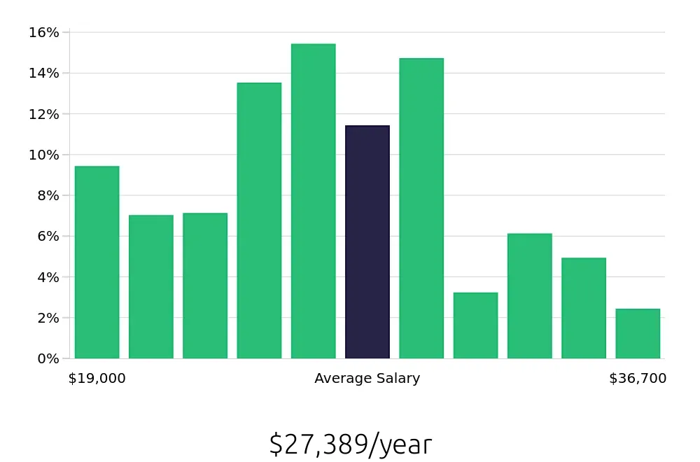Graph depicting the yearly salary distribution for Team Member jobs in Chattanooga, TN, showing an average salary of $27,389 with varying distribution percentages across salary ranges.