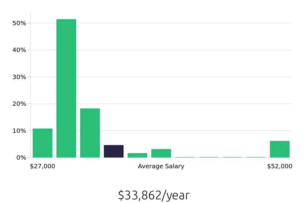 Graph depicting the yearly salary distribution for Team Member jobs in Cheektowaga, NY, showing an average salary of $33,862 with varying distribution percentages across salary ranges.
