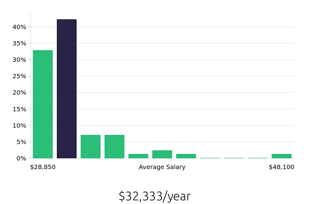 Graph depicting the yearly salary distribution for Team Member jobs in Chicopee, MA, showing an average salary of $32,333 with varying distribution percentages across salary ranges.