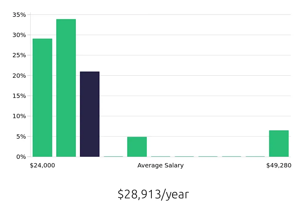 Graph depicting the yearly salary distribution for Team Member jobs in Danville, IL, showing an average salary of $28,913 with varying distribution percentages across salary ranges.